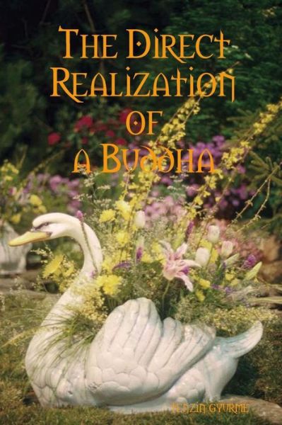 Cover for Tenzin Gyurme · The Direct Realization of a Buddha (Paperback Bog) (2009)