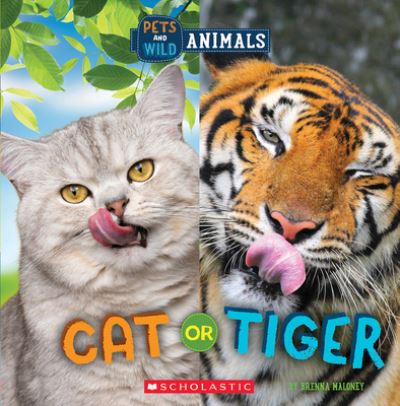 Cat or Tiger (Wild World: Pets and Wild Animals) - Brenna Maloney - Books - Scholastic US - 9781338899788 - September 5, 2023