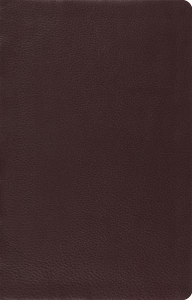 Cover for Crossway Bibles · ESV Large Print Thinline Reference Bible (Skinnbok) [Brown] (2012)