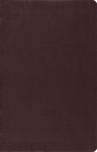 Cover for Crossway Bibles · ESV Large Print Thinline Reference Bible (Leather Book) [Brown] (2012)