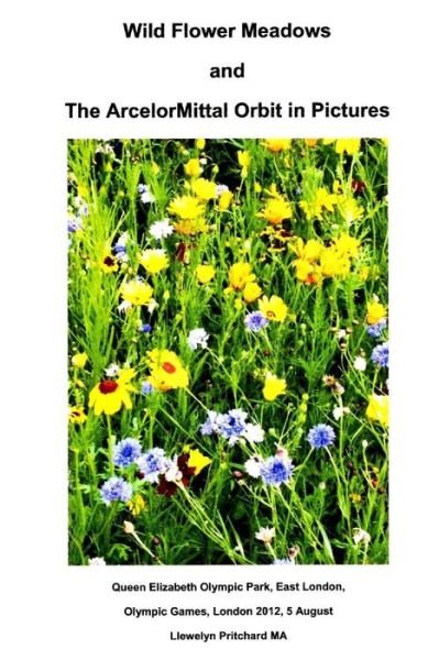 Wild Flower Meadows and the Arcelormittal Orbit in Pictures (Fotoalben) (German Edition) - Llewelyn Pritchard Ma - Boeken - CreateSpace Independent Publishing Platf - 9781493651788 - 1 november 2013