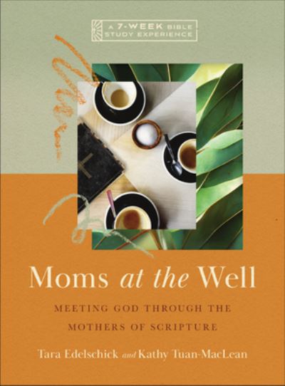 Cover for Tara Edelschick · Moms at the Well: Meeting God Through the Mothers of Scripture—A 7-Week Bible Study with Video Access - IVP Bible Study Experience (Paperback Bog) (2024)