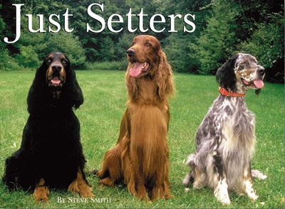 Cover for Steve Smith · Just setters (Bog) (1998)