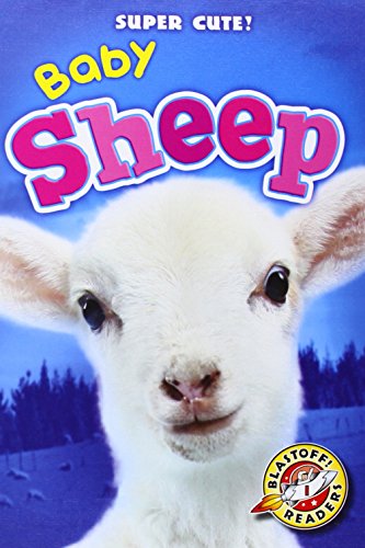 Baby Sheep (Blastoff Readers: Super Cute!) - Christina Leaf - Books - Bellwether Media - 9781600149788 - August 1, 2014