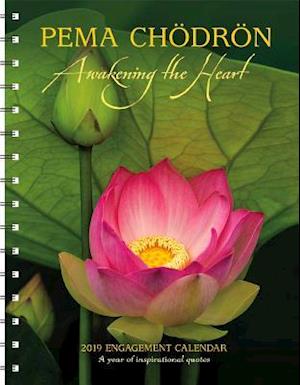 Pema Chodron Engagement Calendar 2019 : Awakening the Heart - Pema Chodron - Gadżety - Amber Lotus Publishing - 9781631363788 - 13 lipca 2018