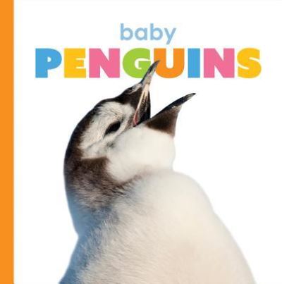 Cover for Kate Riggs · Baby Penguins (Hardcover Book) (2019)