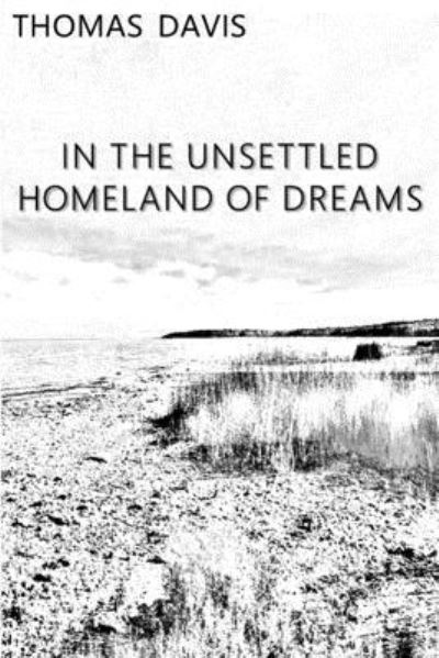 Cover for Thomas Davis · In the Unsettled Homeland of Dreams (Paperback Book) (2019)