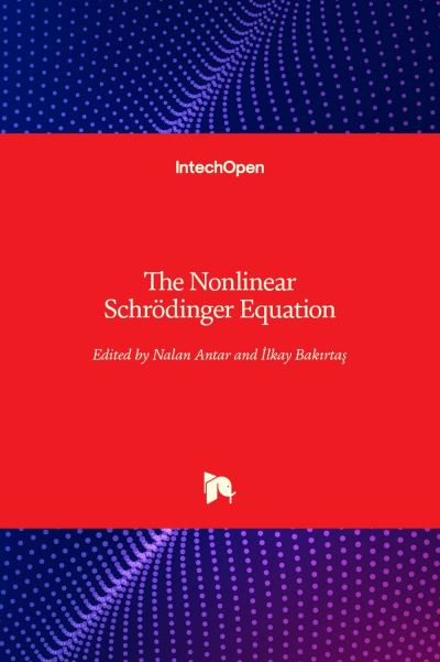 Cover for &amp;#304; lkay Bak&amp;#305; rta&amp;#351; · The Nonlinear Schrodinger Equation (Hardcover Book) (2022)