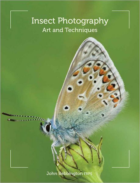 Cover for John Bebbington · Insect Photography: Art and Techniques (Paperback Book) (2012)