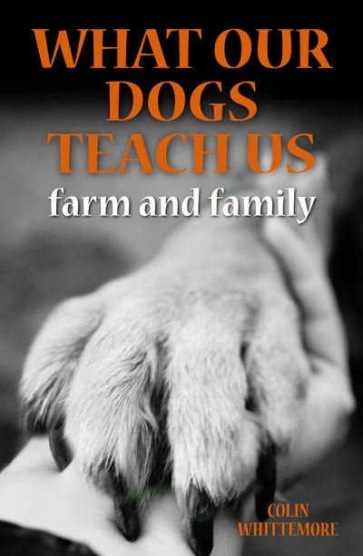 Cover for Colin Whittemore · What Our Dogs Teach Us: Farm and Family (Hardcover Book) (2024)