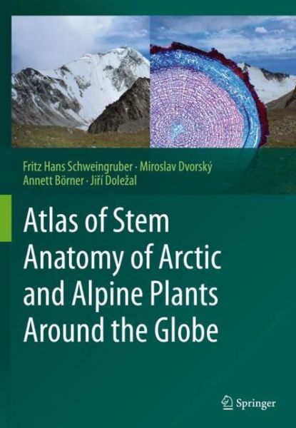Cover for Fritz Hans Schweingruber · Atlas of Stem Anatomy of Arctic and Alpine Plants Around the Globe (Paperback Bog) [2020 edition] (2021)
