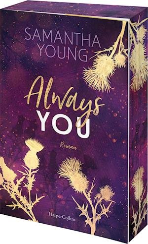 Cover for Samantha Young · Always You (Buch) (2024)