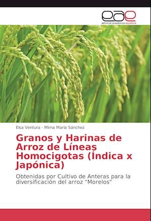 Cover for Ventura · Granos y Harinas de Arroz de Lí (Book)