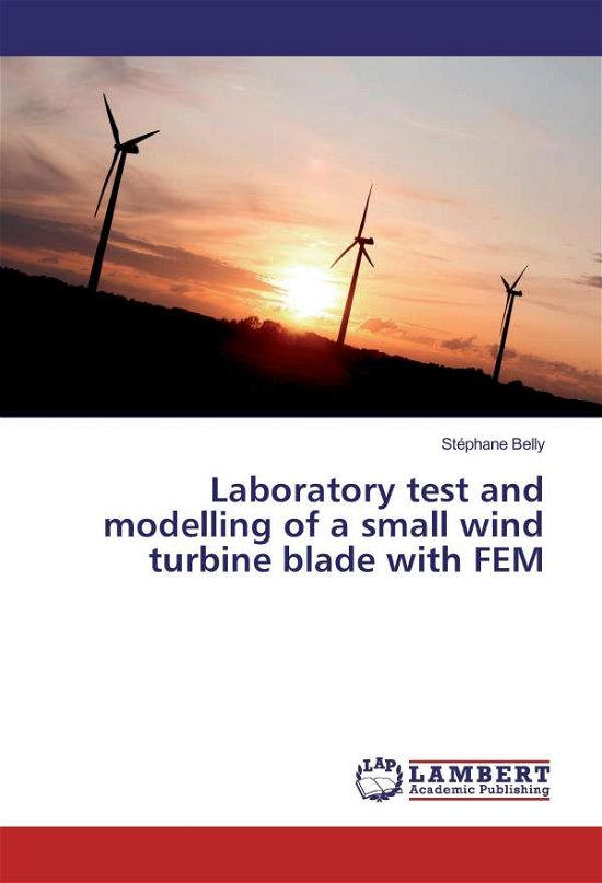 Cover for Belly · Laboratory test and modelling of (Bok)