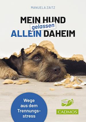 Cover for Manuela Zaitz · Mein Hund gelassen allein daheim (Book) (2024)