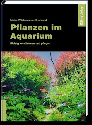 Cover for Maike Wilstermann-Hildebrand · Pflanzen im Aquarium (Book) (2022)