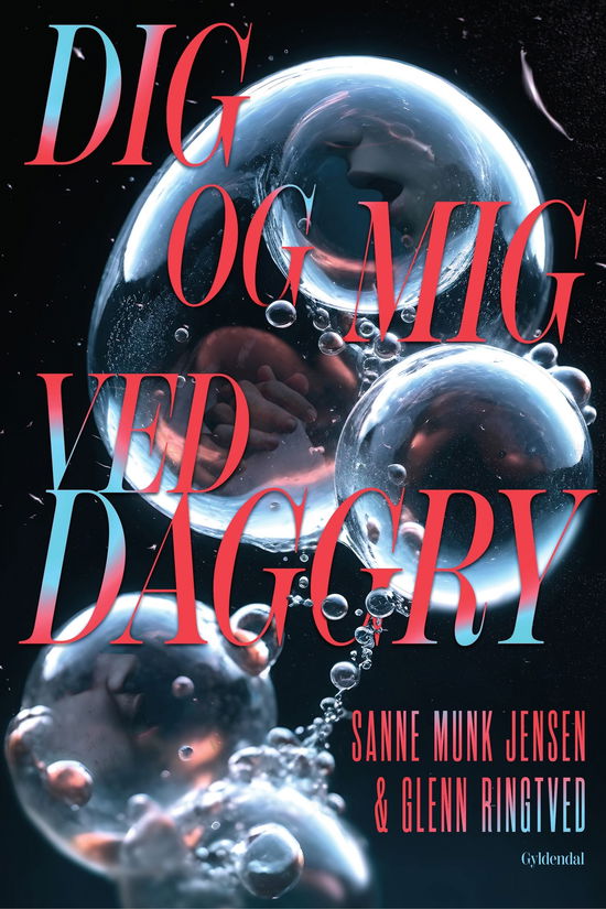 Cover for Glenn Ringtved; Sanne Munk Jensen · Dig og mig ved daggry (Sewn Spine Book) [3rd edition] (2025)