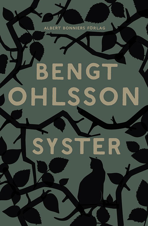 Cover for Bengt Ohlsson · Syster (Book) (2009)