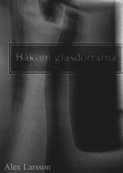 Bakom glasdörrarna - Axel Larsson - Books - Vulkan - 9789163912788 - May 5, 2011