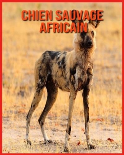 Cover for Linda Davis · Chien Sauvage Africain (Paperback Book) (2021)