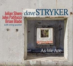 Cover for Dave Stryker · As We Are (LP) (2022)