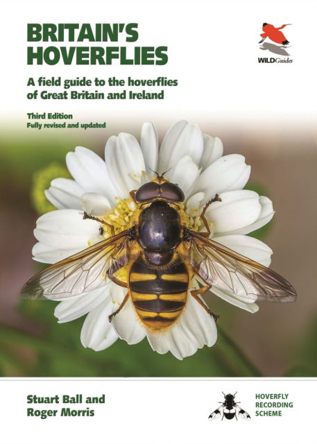 Cover for Stuart Ball · Hoverflies of Britain and Ireland: Third Edition, Fully Revised and Updated - WILDGuides (Paperback Book) (2024)