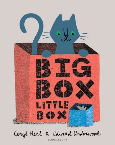 Cover for Caryl Hart · Big Box Little Box (Pocketbok) (2017)
