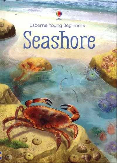 Cover for Emily Bone · Seashore - Young Beginners (Hardcover Book) (2017)