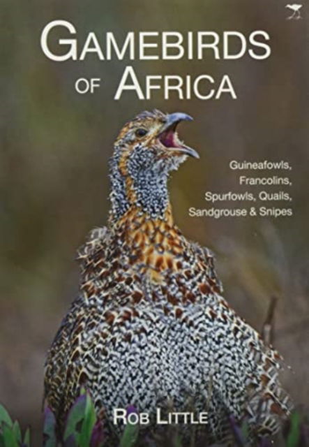 Cover for Rob Little · Gamebirds of Africa: Guineafowls, Francolins, Spurfowls, Quails, Sandgrouse &amp; Snipes (Paperback Book) (2021)
