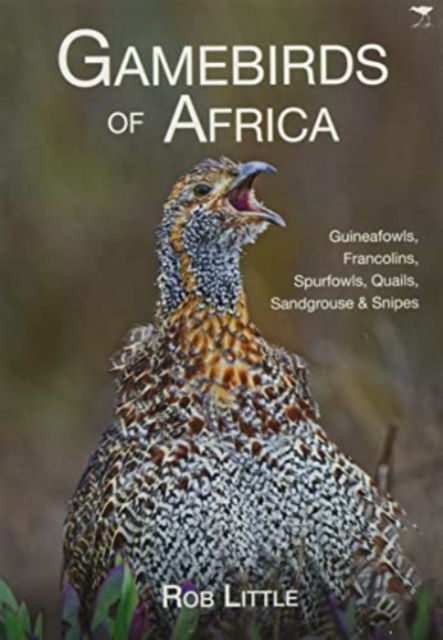 Cover for Rob Little · Gamebirds of Africa: Guineafowls, Francolins, Spurfowls, Quails, Sandgrouse &amp; Snipes (Pocketbok) (2021)