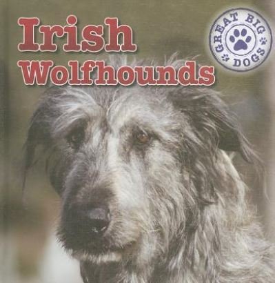 Cover for Kristen Rajczak · Irish wolfhounds (Bok) [1st edition] (2011)