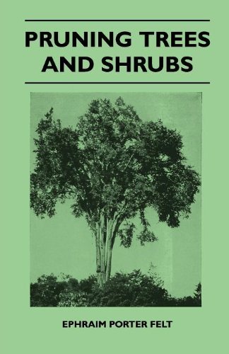 Cover for Ephraim Porter Felt · Pruning Trees and Shrubs (Paperback Bog) (2010)