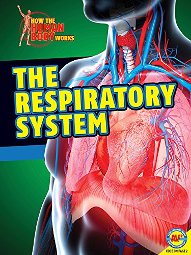 Cover for Simon Rose · The Respiratory System (How the Human Body Works) (Hardcover Book) (2014)