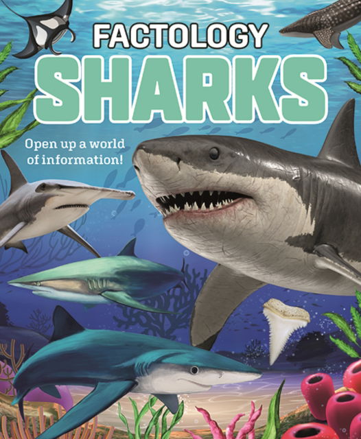 Cover for Button Books · Factology: Sharks: Open Up a World of Information! - Factology (Hardcover Book) (2025)