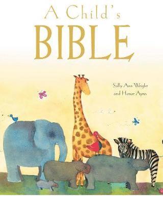 A Child's Bible - Sally Ann Wright - Books - Authentic Media - 9781788930789 - October 11, 2019