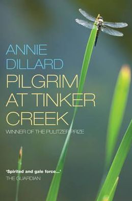 Cover for Annie Dillard · Pilgrim at Tinker Creek (Pocketbok) [UK edition] (2011)