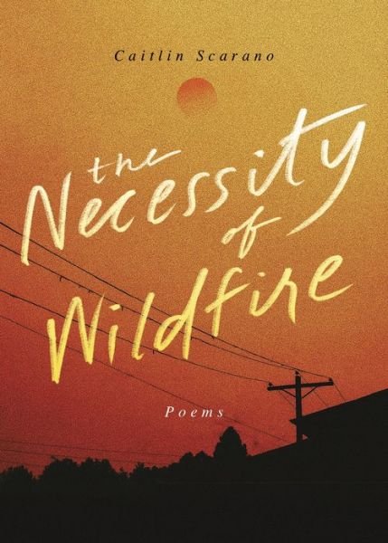 Cover for Caitlin Scarano · The Necessity of Wildfire: Poems (Taschenbuch) (2022)