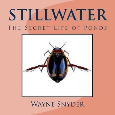 Cover for Wayne Snyder · Stillwater (Pocketbok) (2018)