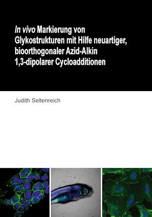 Cover for Judith Seltenreich · In vivo Markierung von Glykostrukturen mit Hilfe neuartiger, bioorthogonaler Azid-Alkin 1,3-dipolarer Cycloadditionen (Paperback Book) (2014)
