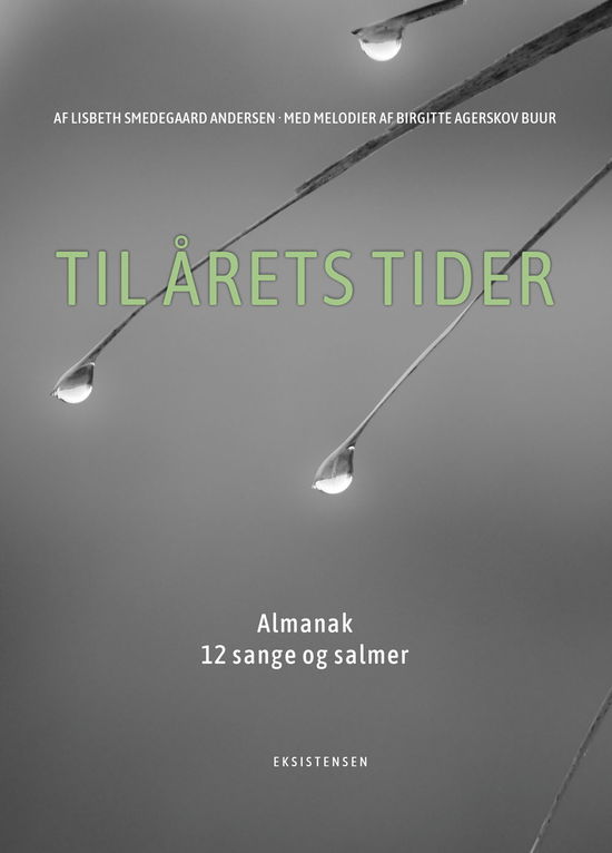 Cover for Lisbeth Smedegaard Andersen og Birgitte Agerskov Buur · Til årets tider (Indbundet Bog) [1. udgave] (2020)