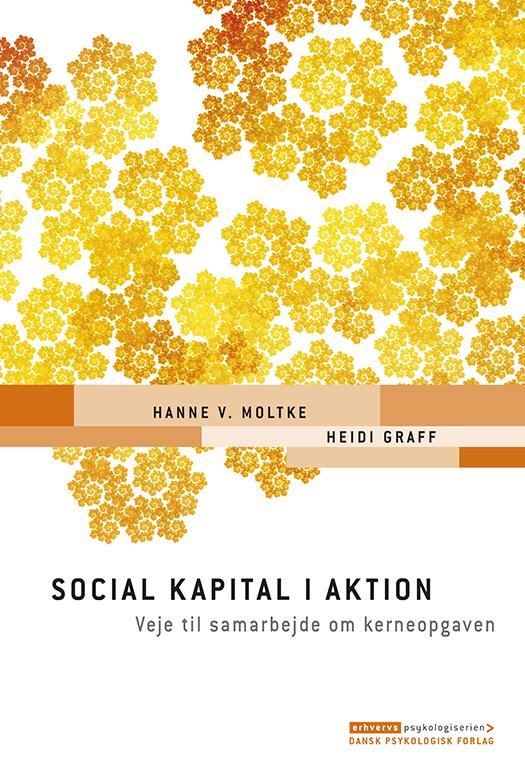 Cover for Heidi Graff Hanne V. Moltke · Erhvervspsykologiserien: Social kapital i aktion (Sewn Spine Book) [1e uitgave] (2015)