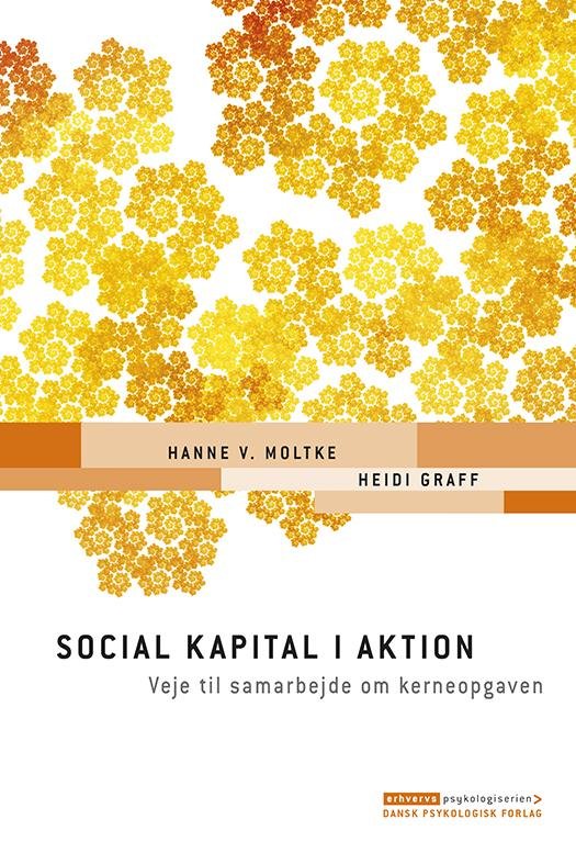 Cover for Heidi Graff Hanne V. Moltke · Erhvervspsykologiserien: Social kapital i aktion (Sewn Spine Book) [1th edição] (2015)