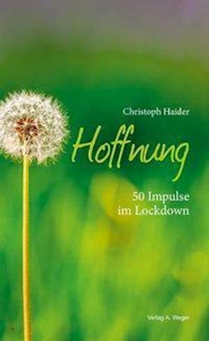 Cover for Haider · Hoffnung (Bok)