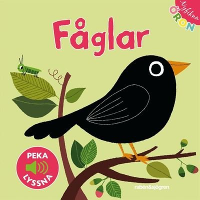 Cover for Gallimard · Nyfikna öron: Fåglar  - Peka, lyssna (Board book) (2011)