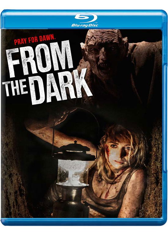 Cover for From the Dark (Blu-ray) (2015)