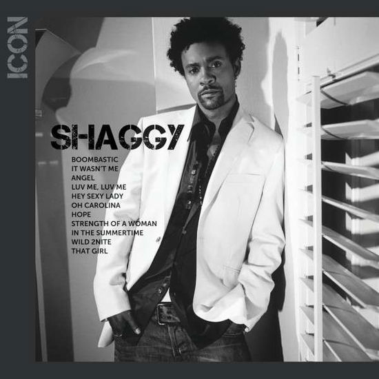 Icon - Shaggy - Música - CAPITOL - 0600753522790 - 19 de agosto de 2014