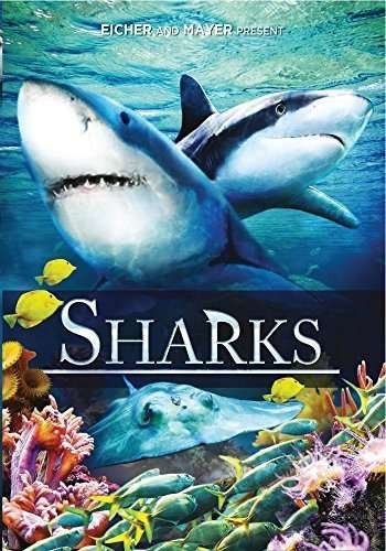Sharks - Sharks - Film - Vision Films - 0818522011790 - 4. august 2015