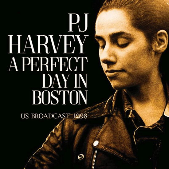 A Perfect Day In Boston - PJ Harvey - Música - YARD STICK - 0823564037790 - 9 de fevereiro de 2024