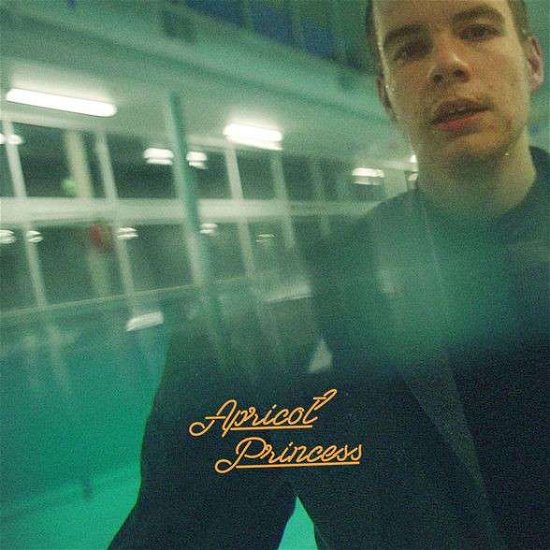 Cover for Rex Orange County · Apricot Princess &lt;limited&gt; (CD) [Japan Import edition] (2018)