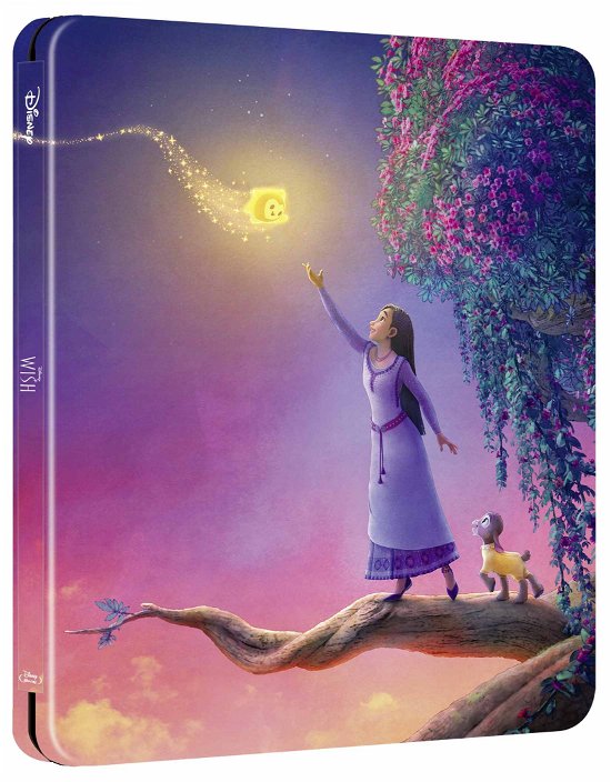 Cover for Wish (Steelbook) (Blu-ray) (2024)
